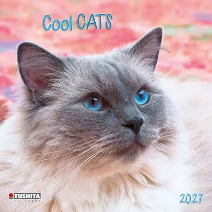 Tushita Cool Cats Kalender 2027