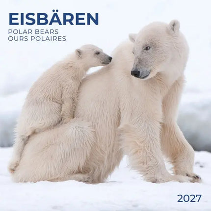 Tushita IJsberen Kalender 2027