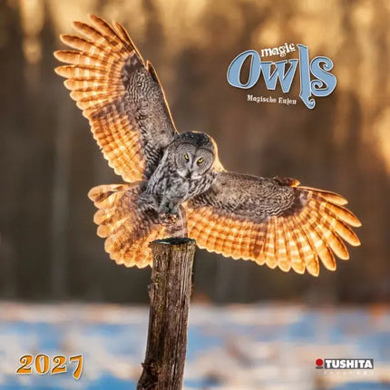 Tushita Magische Uilen Kalender 2027