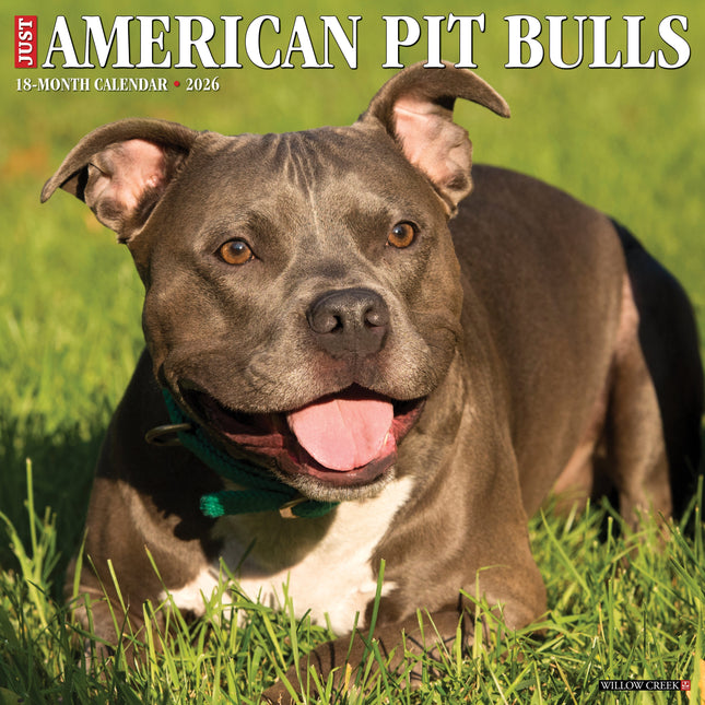 Willow Creek American Pit Bull Terrier Kalender 2026