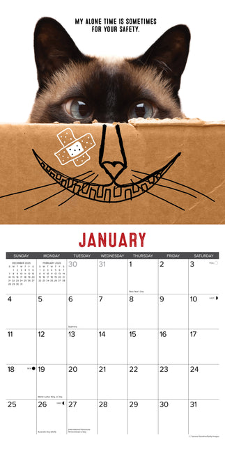 Willow Creek Bad Kitties Kalender 2026