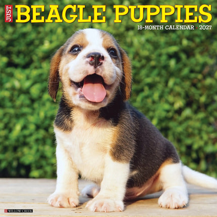 Willow Creek Beagle Puppies Kalender 2027