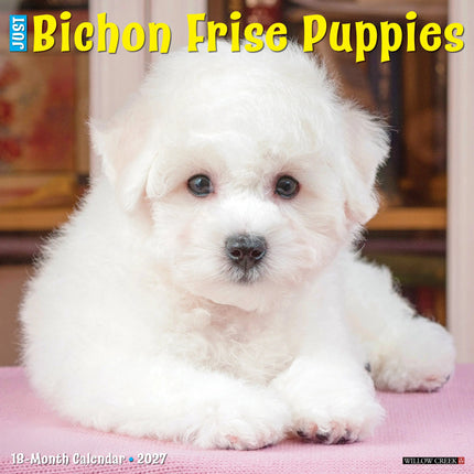 Willow Creek Bichon Frise Puppies Kalender 2027