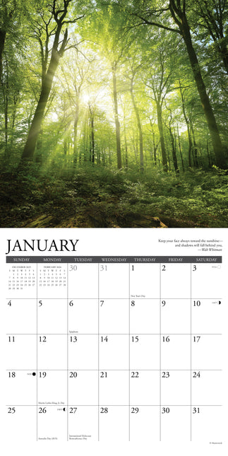 Willow Creek Bos Kalender 2026