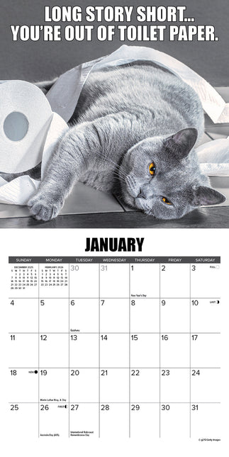 Willow Creek Cat-astrophe Kalender 2026 Mini