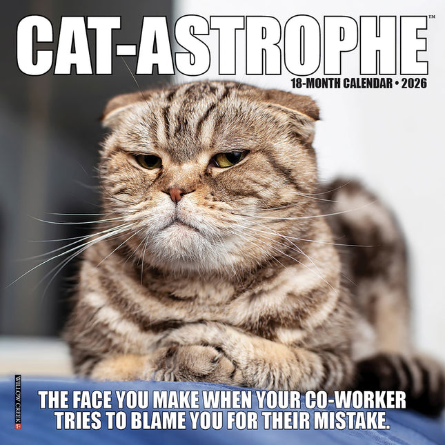 Willow Creek Cat-astrophe Kalender 2026 Mini