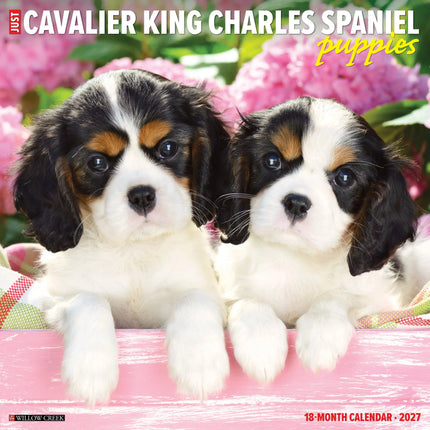 Willow Creek Cavalier King Charles Spaniel Puppies Kalender 2027