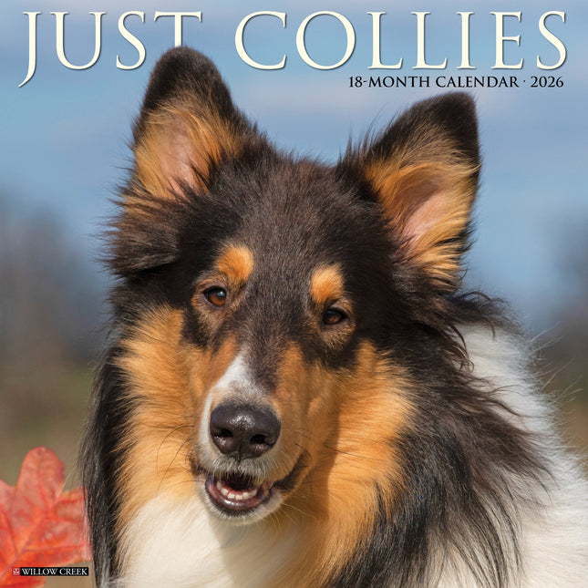 Willow Creek Collie - Schotse Herder Kalender 2026