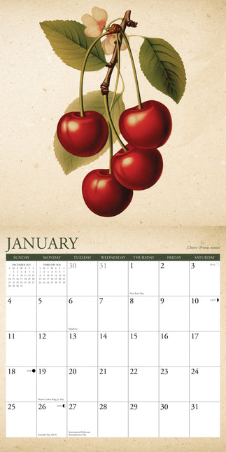 Willow Creek Fruit Kalender 2026