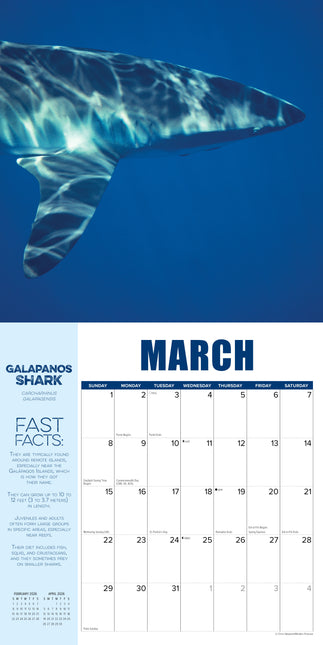 Willow Creek Haaien Kalender 2026