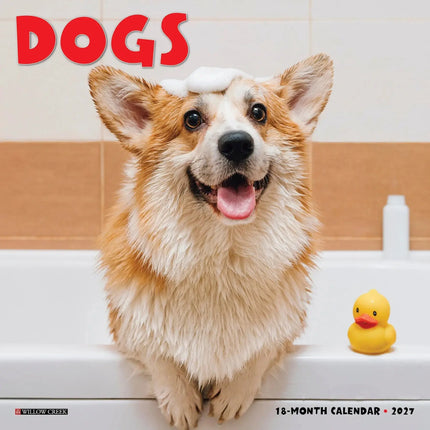 Willow Creek Honden Kalender 2027 Mini