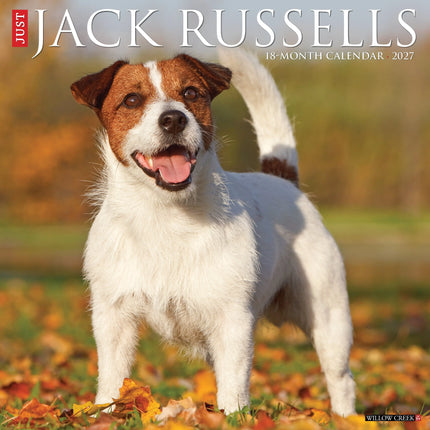 Willow Creek Jack Russell Terrier Kalender 2027