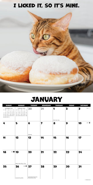 Willow Creek Katten Chat Kalender 2026