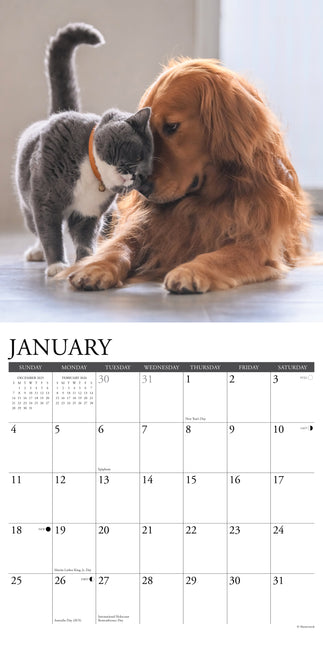 Willow Creek Katten en Honden Kalender 2026