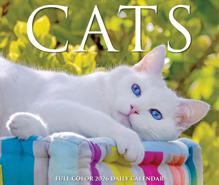 Willow Creek Katten Scheurkalender 2026 Boxed