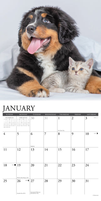 Willow Creek Kittens en Puppies Kalender 2026