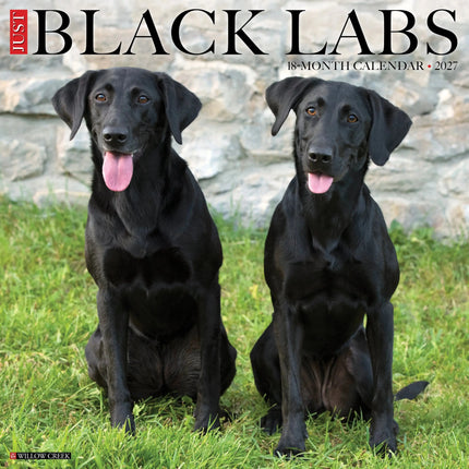 Willow Creek Labrador Retriever Kalender 2027