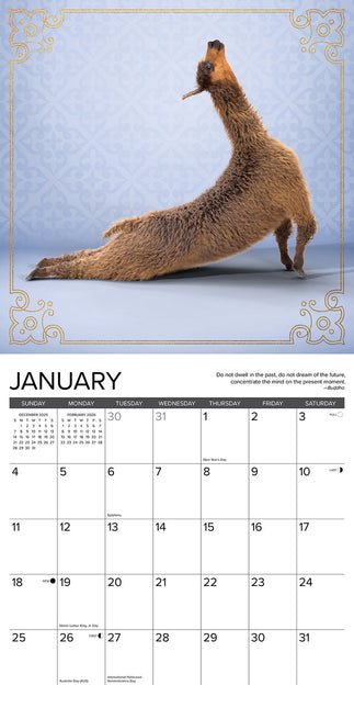 Willow Creek Lama Yoga Kalender 2026