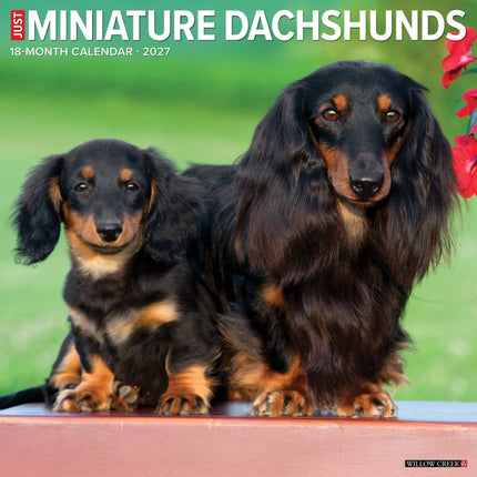Willow Creek Miniatuur Teckel Kalender 2027