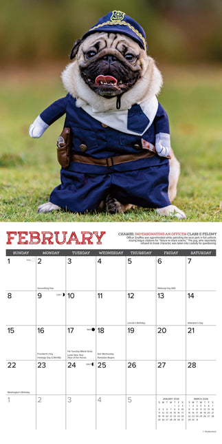 Willow Creek Mopshond Kalender 2026