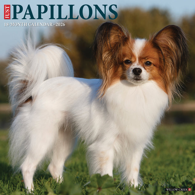 Willow Creek Papillon Kalender 2026