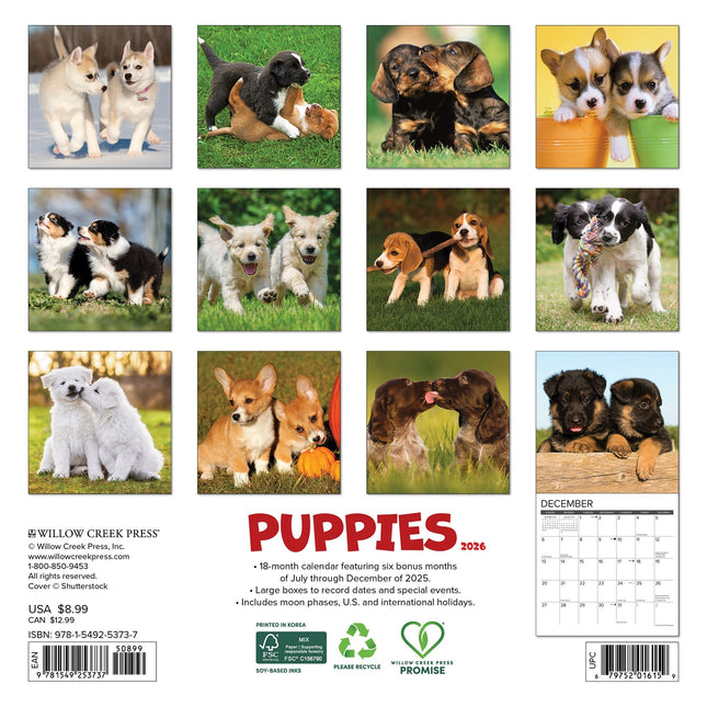 Willow Creek Puppies Kalender 2026 Mini