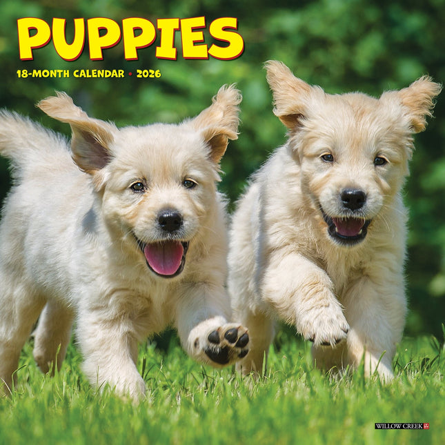 Willow Creek Puppies Kalender 2026 Mini