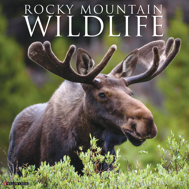 Willow Creek Rocky Mountain Wildlife Kalender 2026