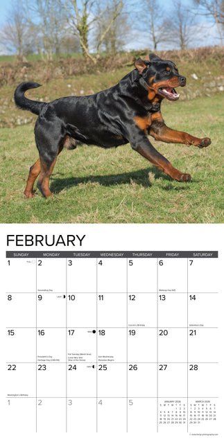 Willow Creek Rottweiler Kalender 2026