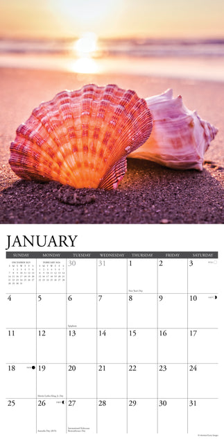 Willow Creek Schelpen Kalender 2026