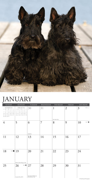 Willow Creek Schotse Terrier Kalender 2026