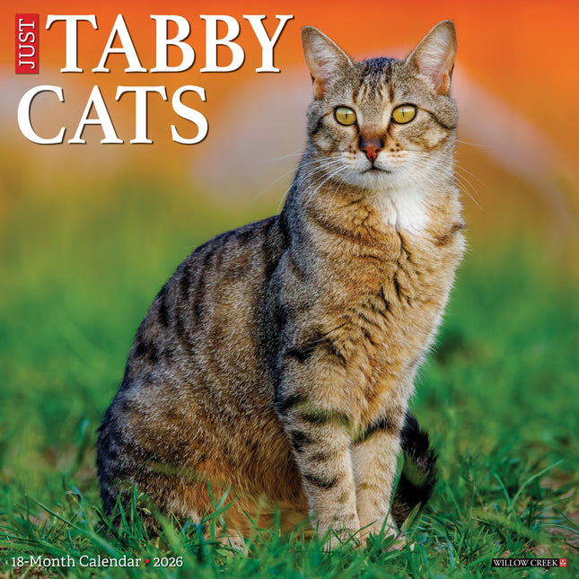 Willow Creek Tabby Katten Kalender 2026