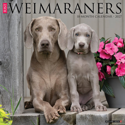 Willow Creek Weimaraner Kalender 2027