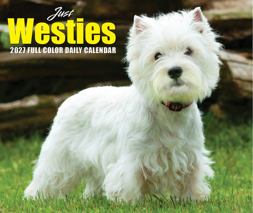 Willow Creek West Highland White Terrier Scheurkalender 2027 Boxed