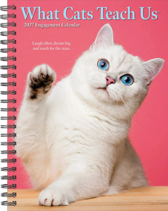 Willow Creek What Cats Teach Us Agenda 2027