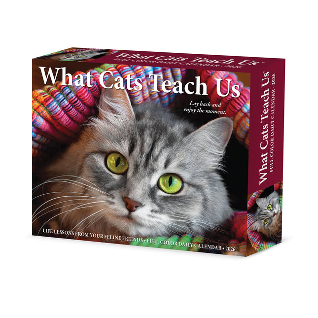 Willow Creek What Cats Teach Us Scheurkalender 2026 Boxed