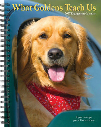 Willow Creek What Goldens Teach Us Agenda 2027