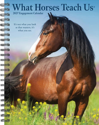 Willow Creek What Horses Teach Us Agenda 2027