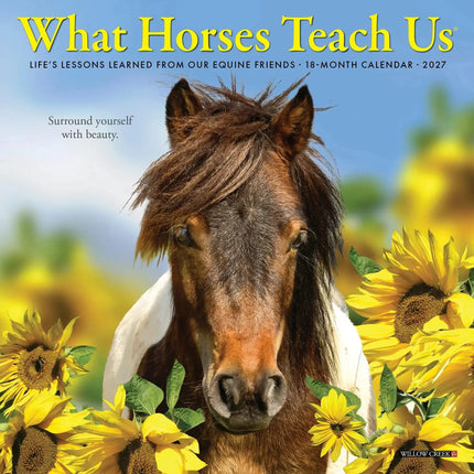 Willow Creek What Horses Teach Us Kalender 2027 Mini