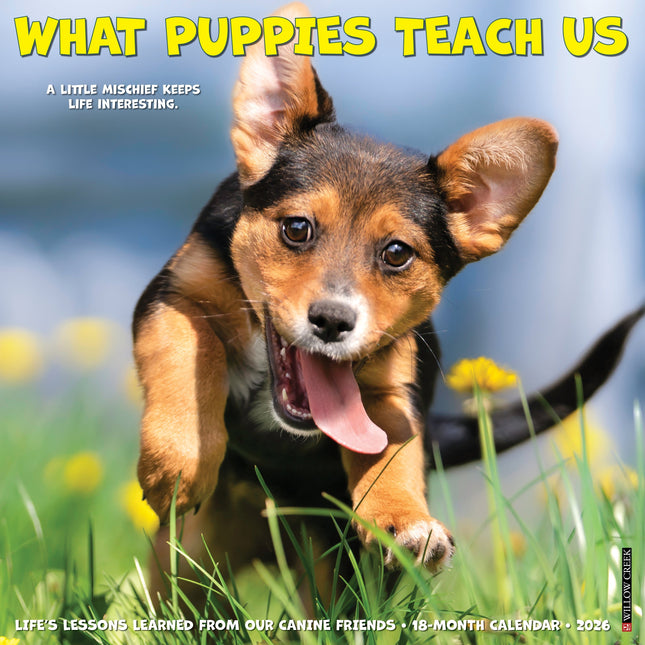 Willow Creek What Puppies Teach Us Kalender 2026