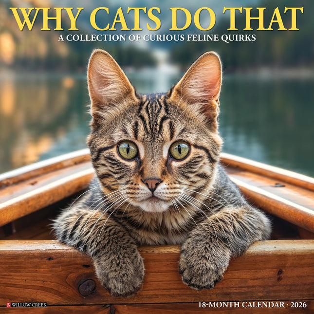 Willow Creek Why Cats Do That Kalender 2026