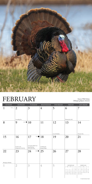 Willow Creek Wildlife Kalender 2026
