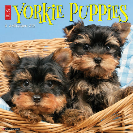 Willow Creek Yorkshire Terrier Puppies Kalender 2027