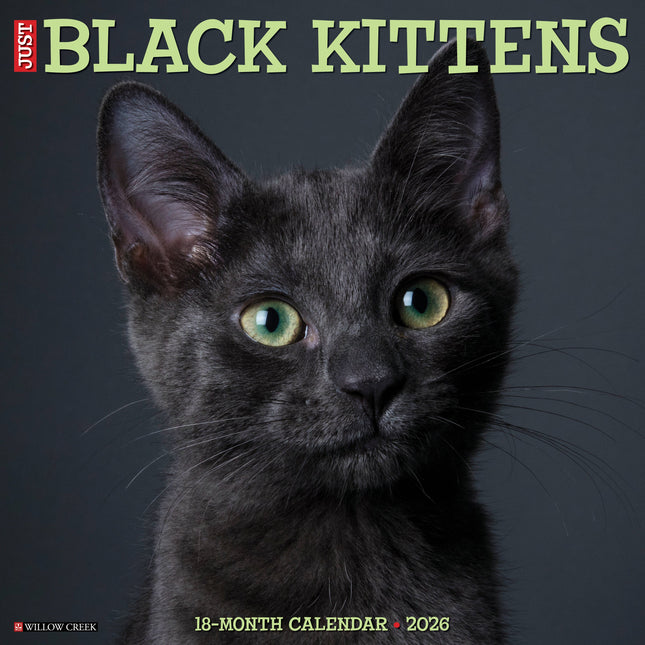 Willow Creek Zwarte Kittens Kalender 2026