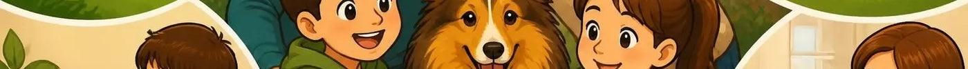 Shetland sheepdog: alles over dit trouwe ras