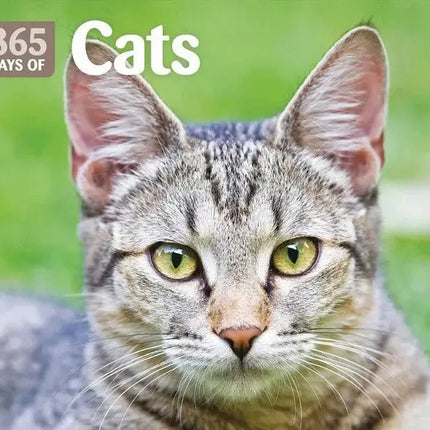 katten kalenders