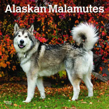 alaskan