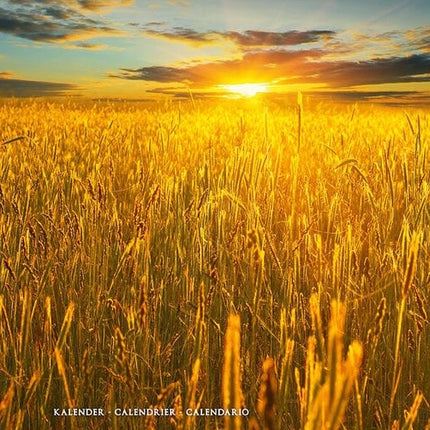 avonside-seasons-kalender-2025