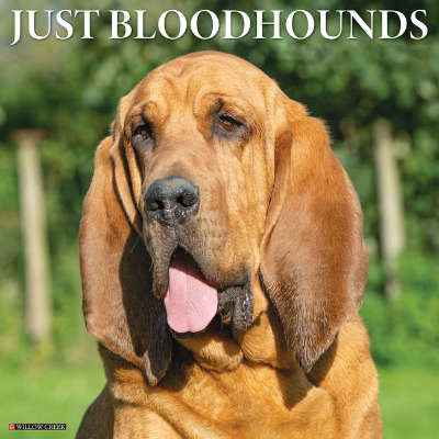 bloodhounds