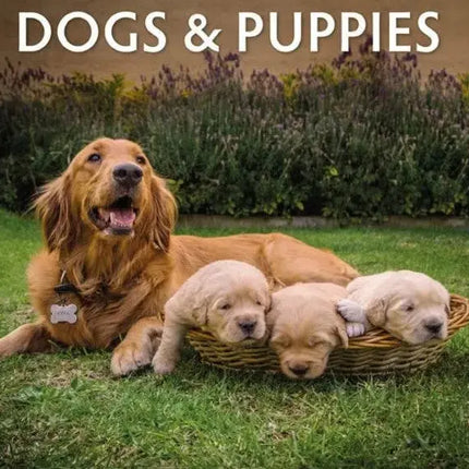 Honden kalenders